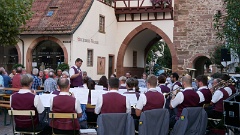 2019-08 Hocck in Zell (8)